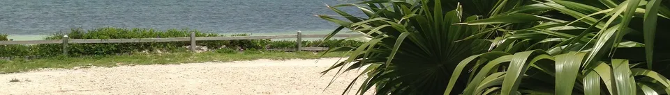 Big Pine Key Nightlife