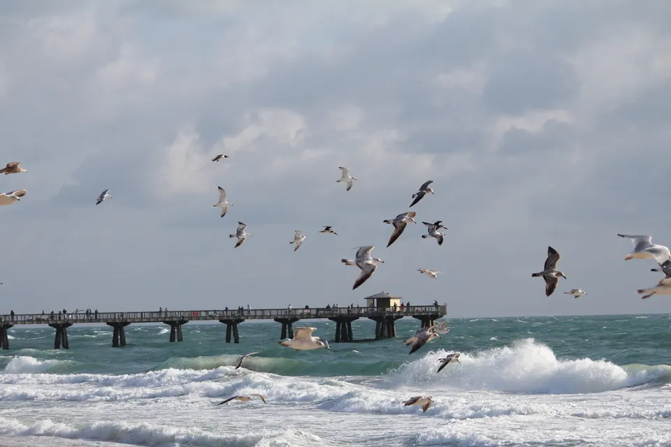 Pompano Beach Real Estate