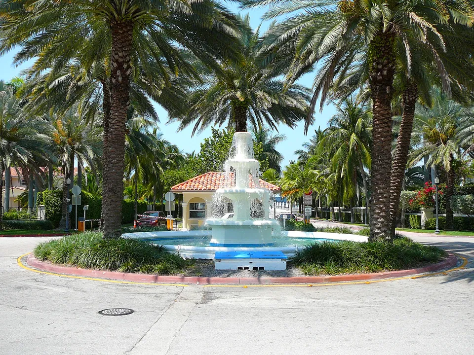 Palm Island Real Estate
