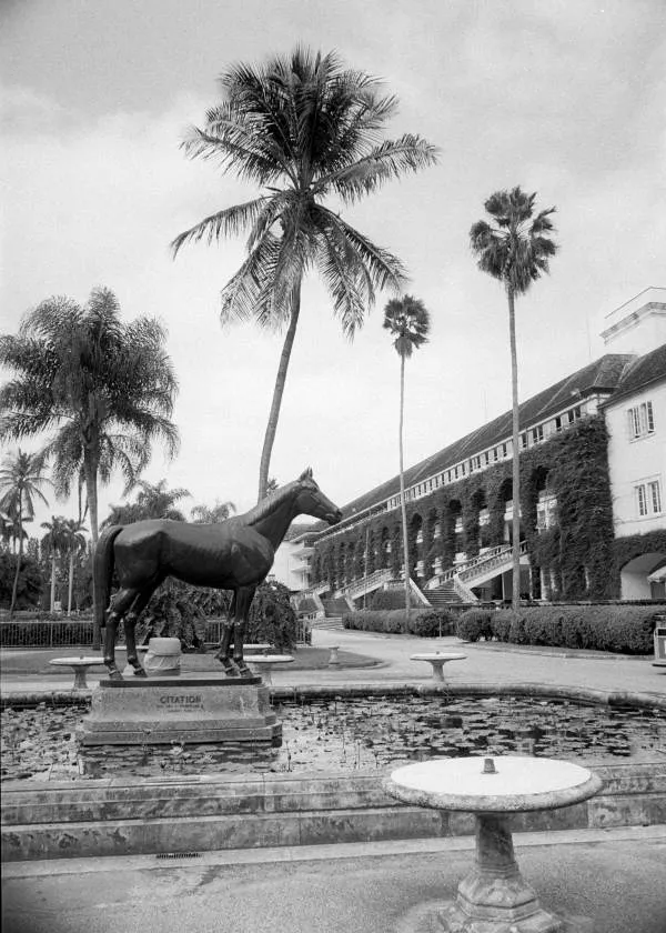 Hialeah Real Estate