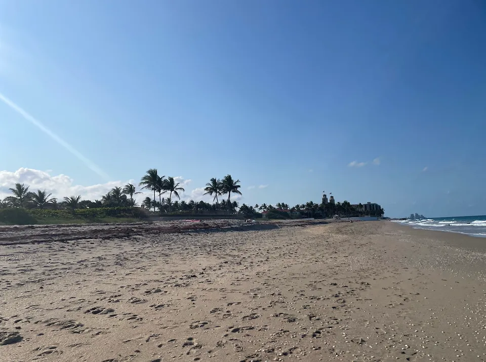 Palm Beach Real Estate